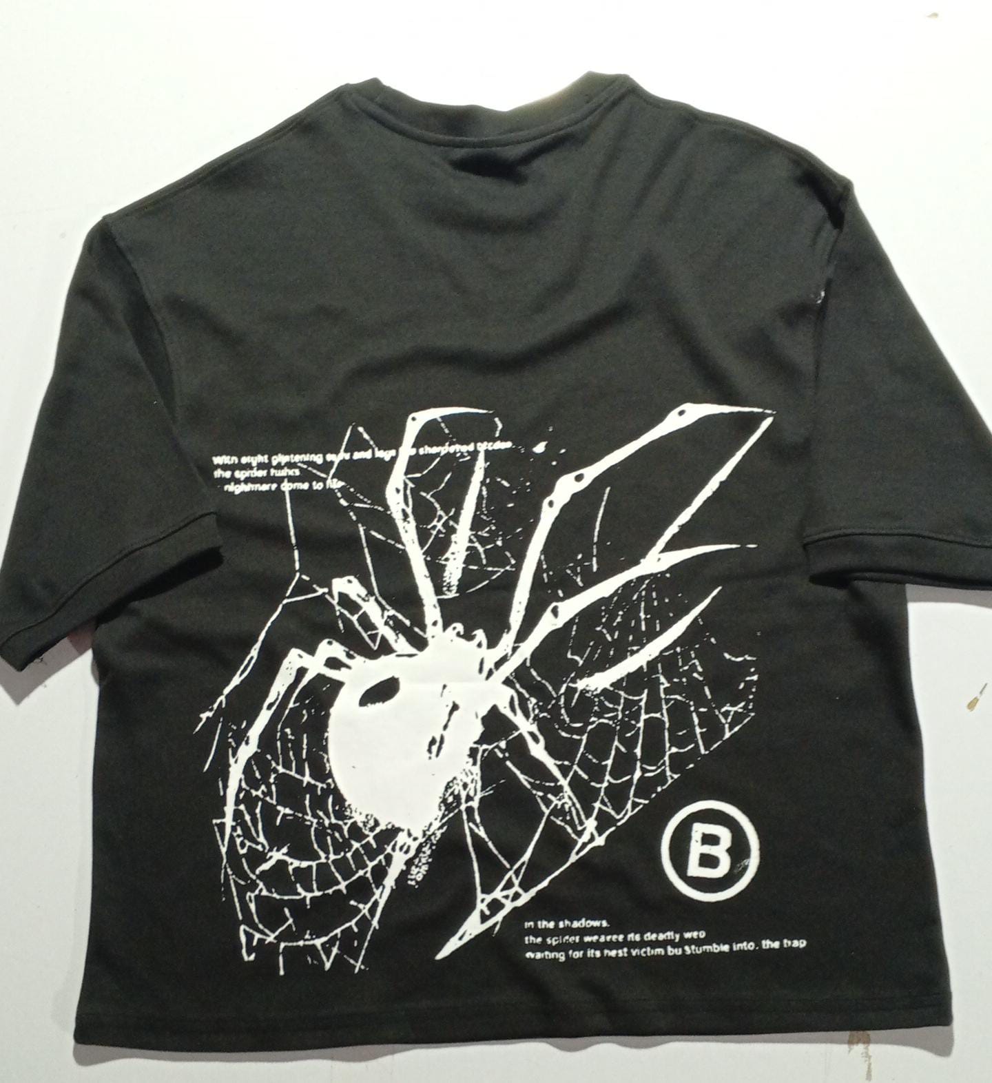 In the shadows, the spider weaves its deadly web... Nightmare come to life.